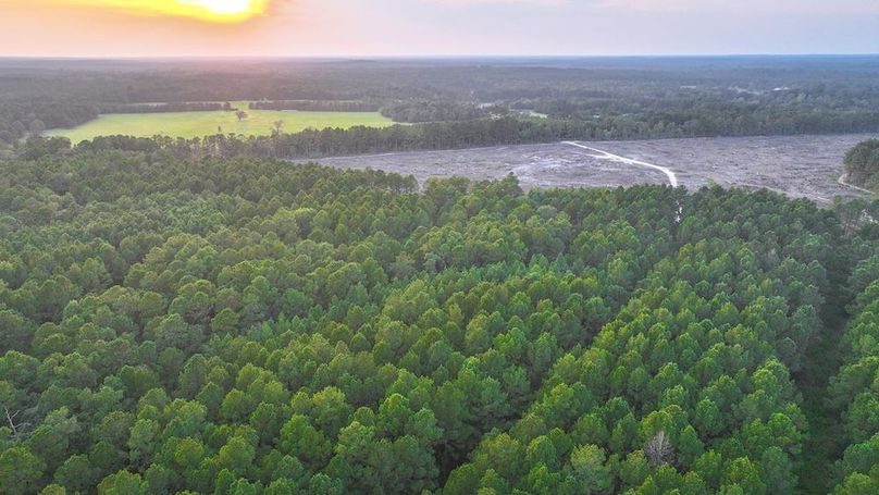 DJI_20250918183841_0245_D