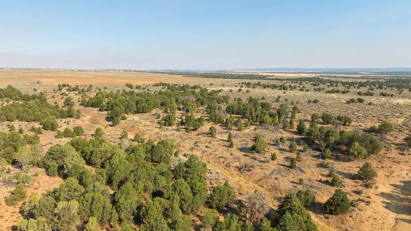 DJI_0675_1