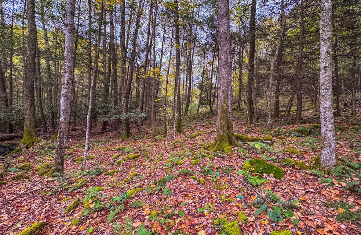 Webster, WV 13.8 AC Heldreth-04