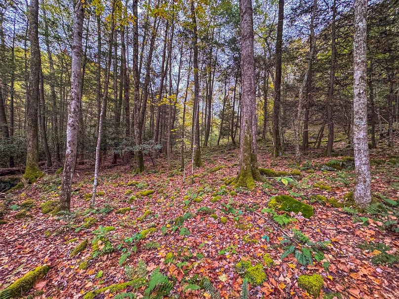 Webster, WV 13.8 AC Heldreth-04