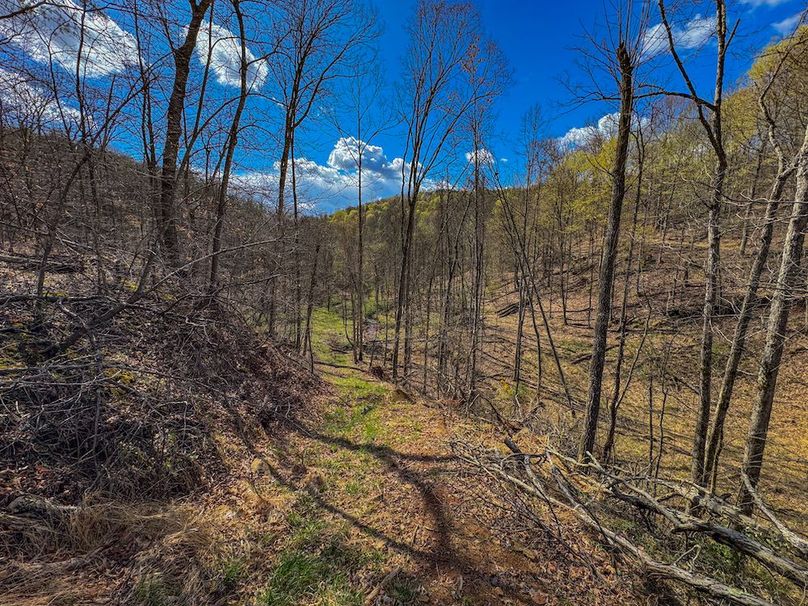 Wirt, WV 156.941 AC Full-32