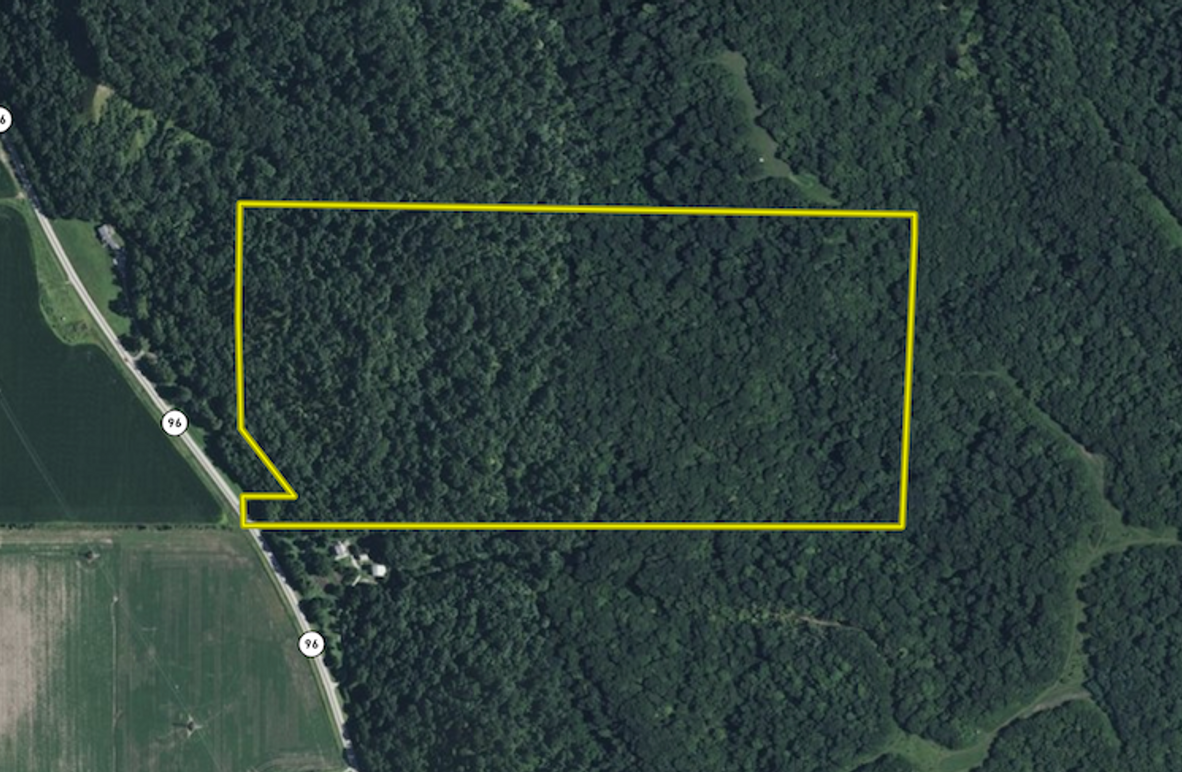 Screenshot 2026-03-06 at 11.22.08 AM