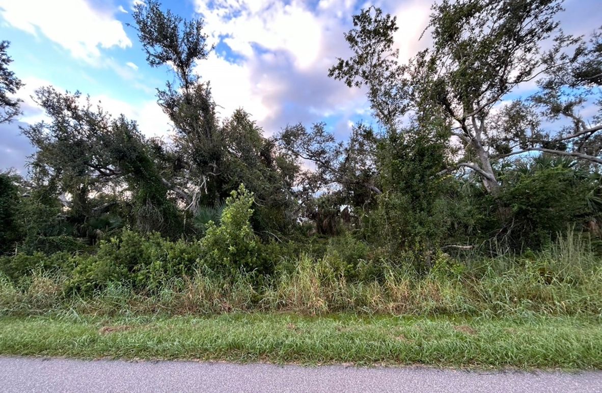 A69502DB-D305-4085-81D8-3053F5FC7A09_1_105_c