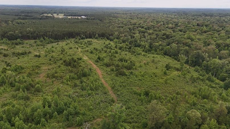 Copy of DJI_20250529045119_0517_D