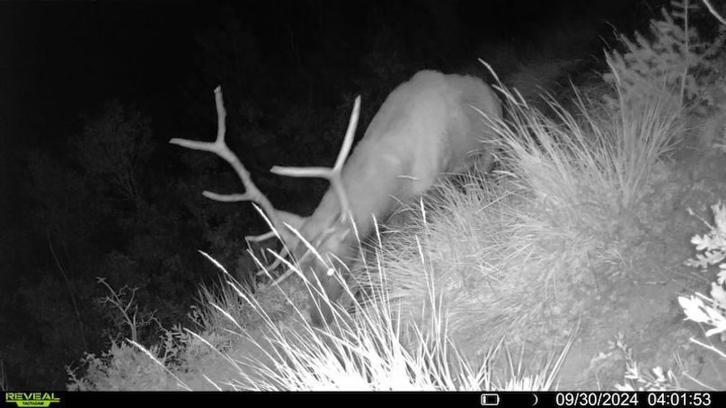 016578000756376-22-3-09302024040153-SYFW00231