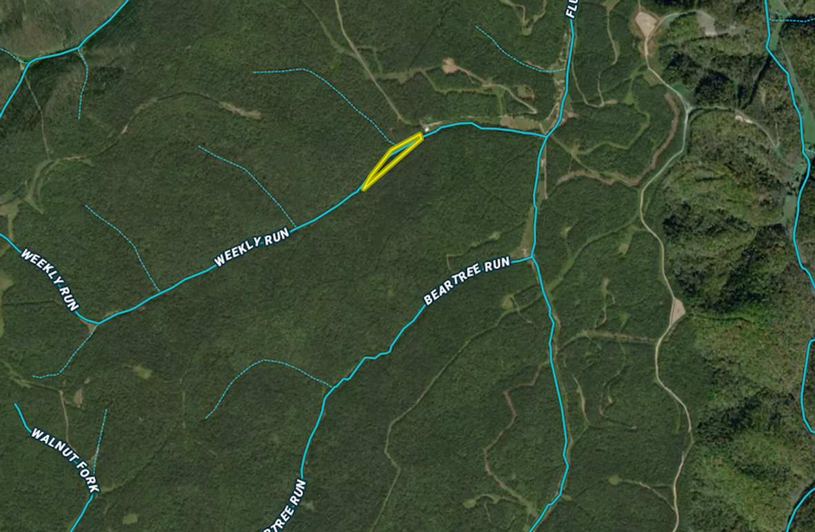 Screen Shot 2025-06-04 at 7.13.52 AM