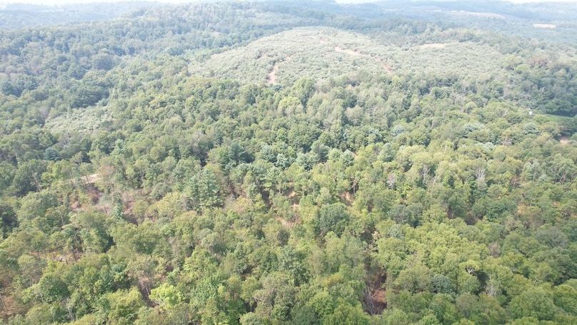 dji_fly_20250806_152208_621_1754528899293_photo