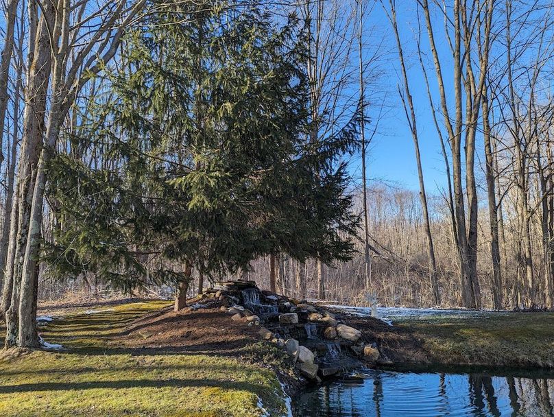 PXL_20240229_210748666