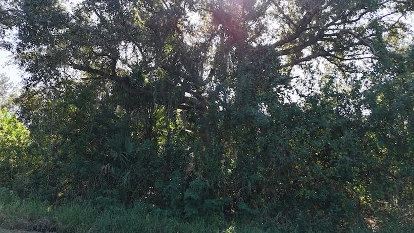 DJI_20251204113540_0057_D