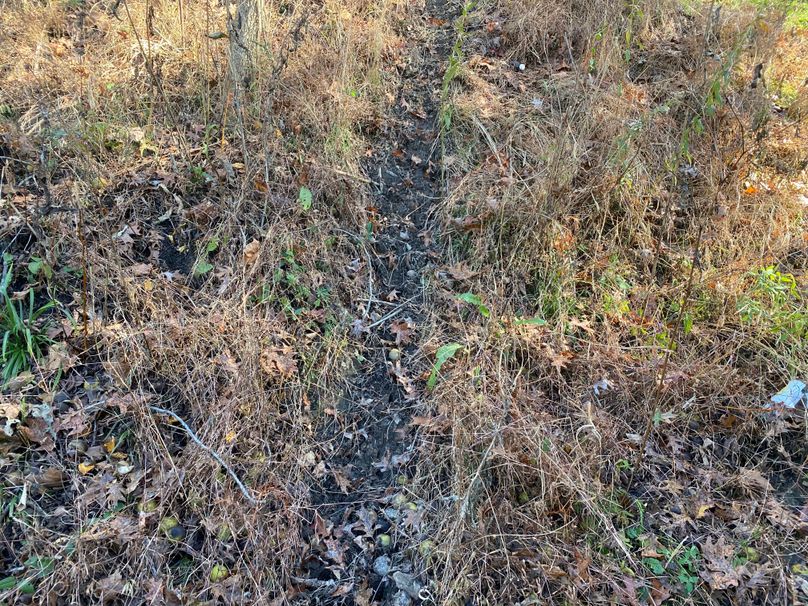 009 look at this well worn deer trail! copy