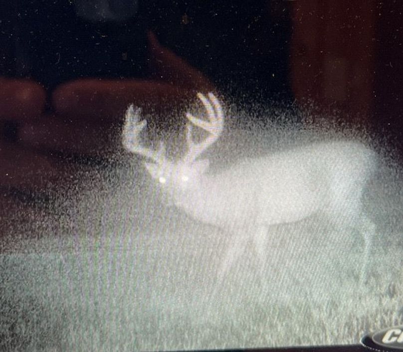 Screenshot 2023-06-07 at 10.26.16 AM