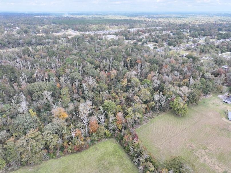 dji_fly_20251118_121222_0724_1763560720231_photo