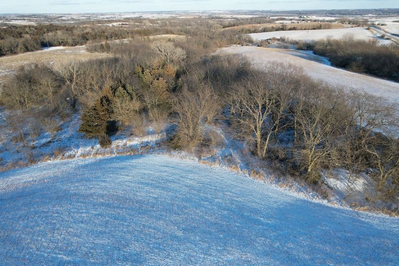 DJI_0464