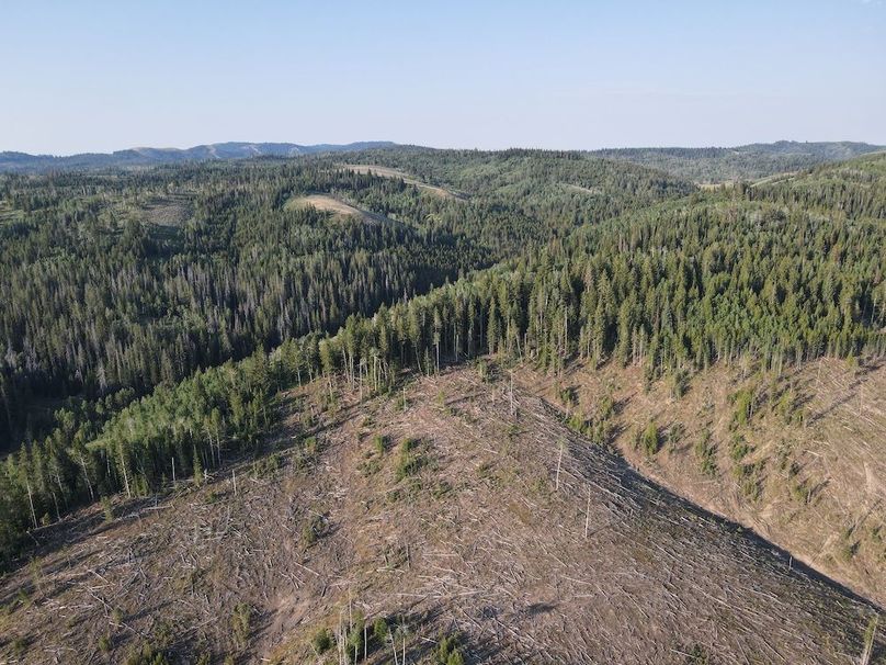 dji_fly_20240717_075406_539_1721224581597_photo 2