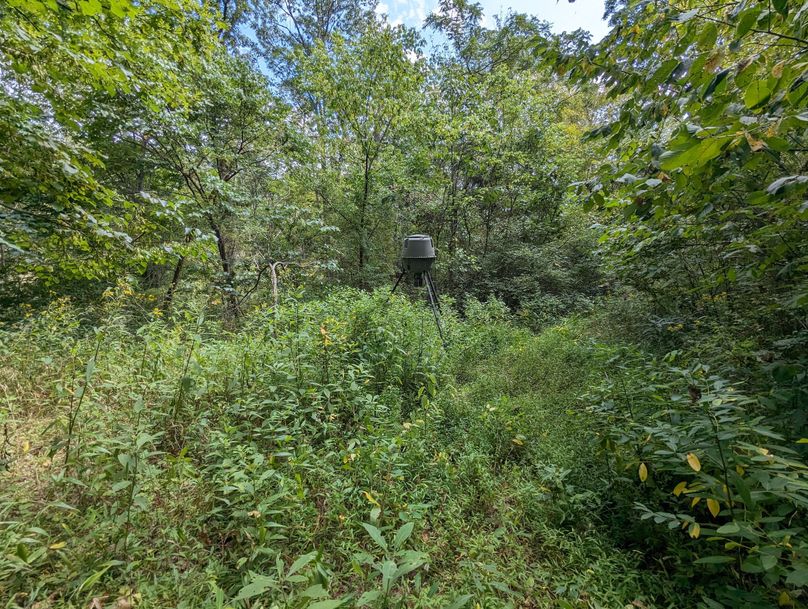 PXL_20230908_181900272