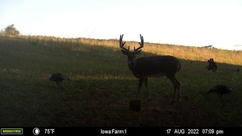 image637963706589701634