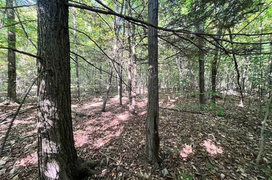 Chemung_25.999_Rouseland_Photos_26
