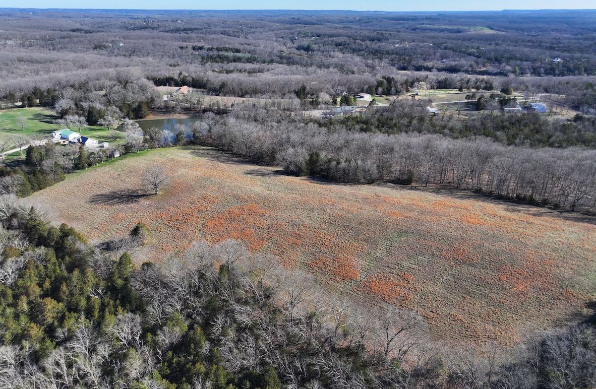 DJI_20260317093413_0976_D