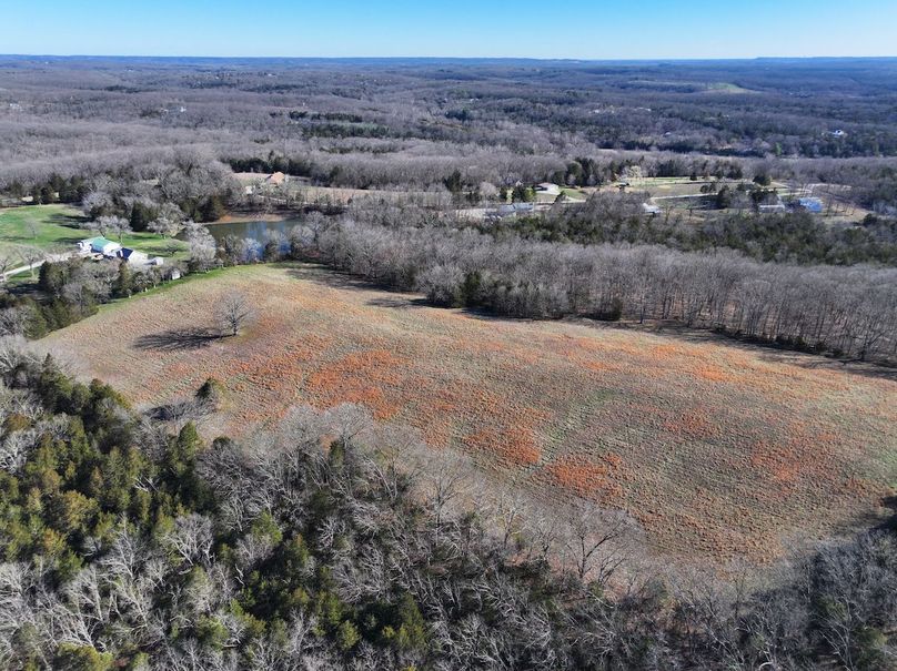 DJI_20260317093413_0976_D