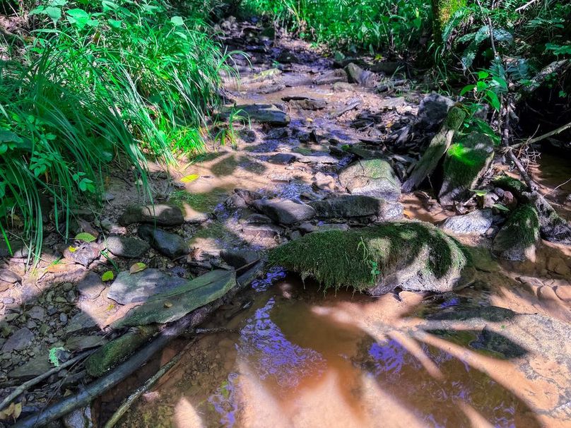 Lewis, WV 105 AC Miller-42