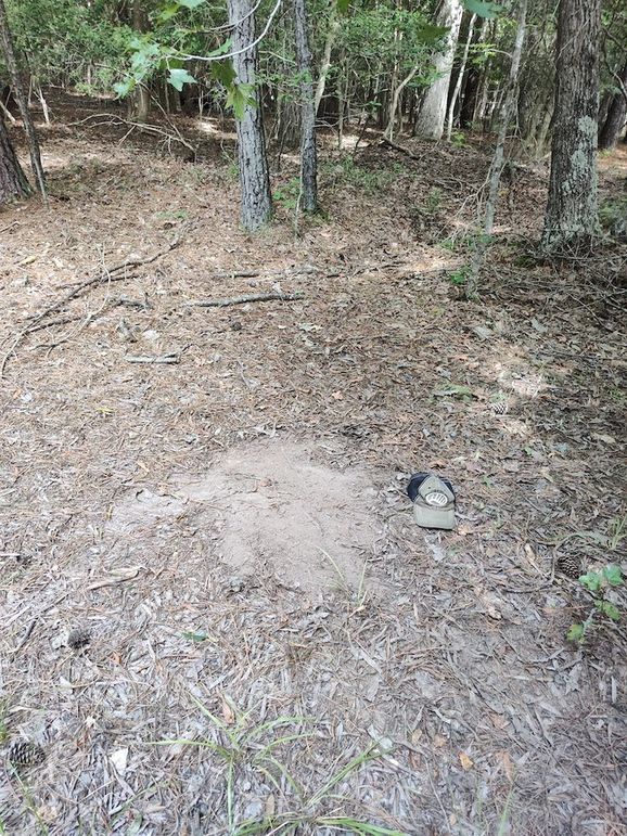 IMG_20250830_120212565