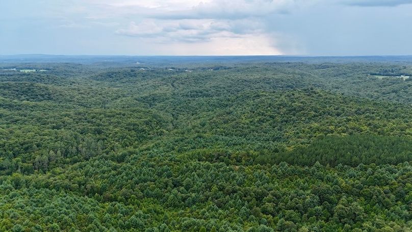 DJI_20250820162030_0038_D