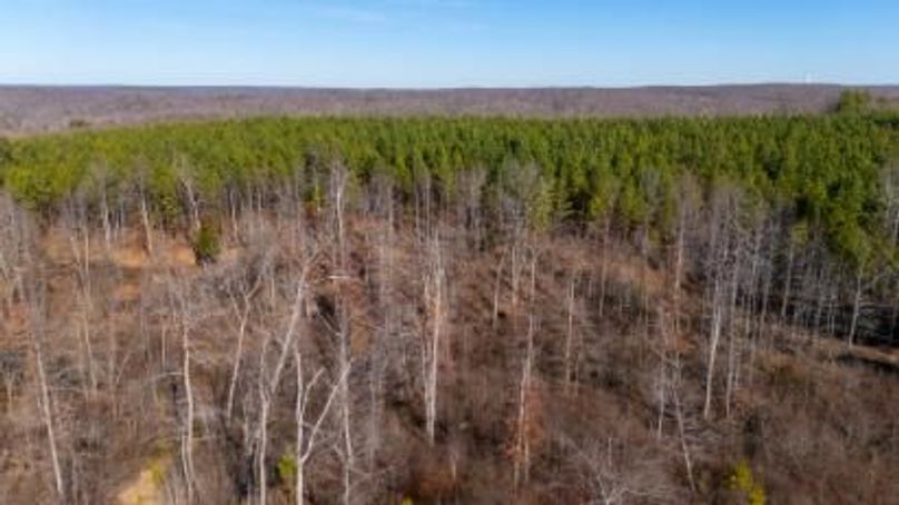 MCKINNON TRACT 18B-19