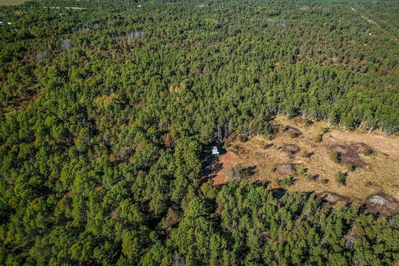 Juneau 27 Wiesner -092