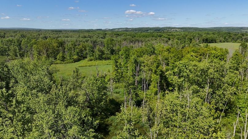 13 DJI_20260531040835_0053_D