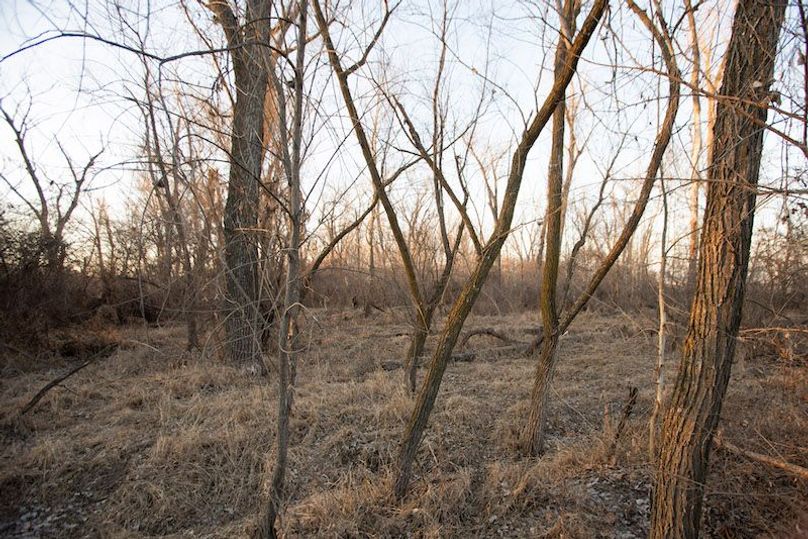 ATCHISON CO MO 56_49