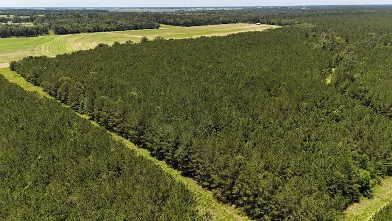 dji_fly_20250528_020504_0047_1748386800911_photo