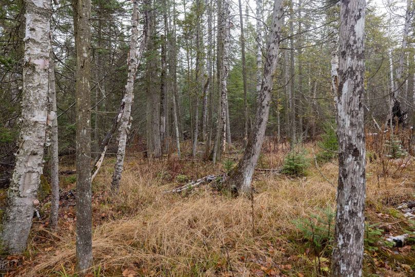 Mackinac 31.5 Noteboom-1740