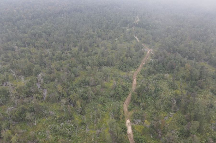 dji_fly_20240917_112540_285_1726590363227_photo