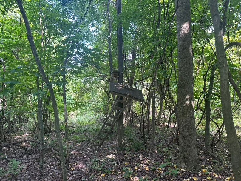 D079A8A6-FA3E-4D7C-AF3B-DFF5BD0338F6_1_105_c