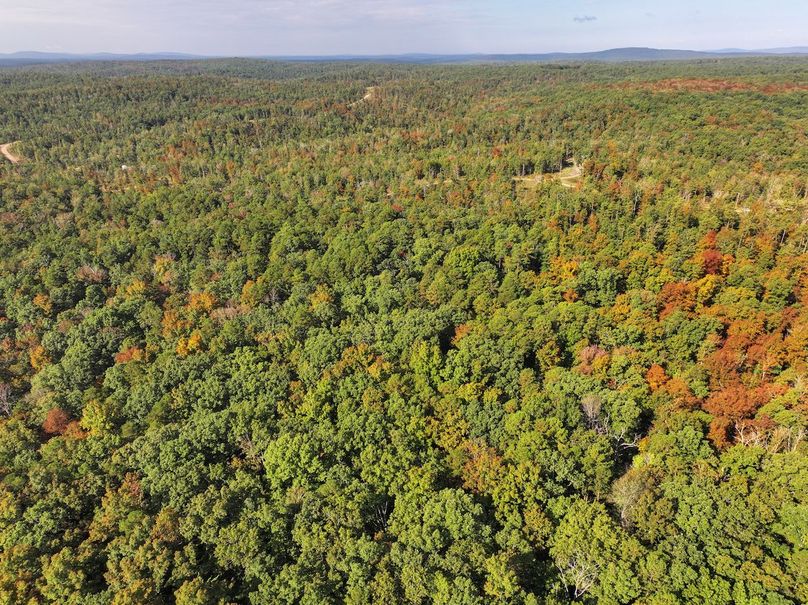 DJI_20250925100402_0699_D