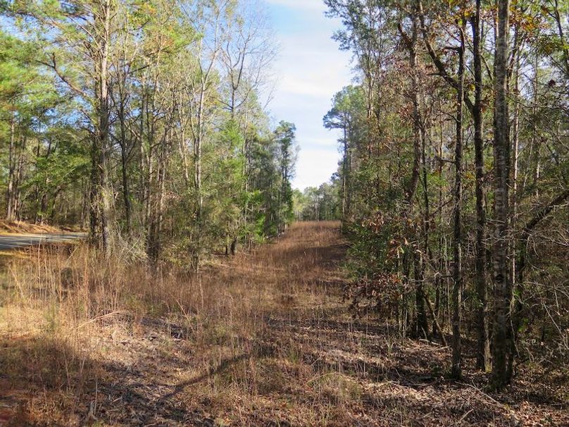 Lauderdale Co - 74 - Gillentine-16