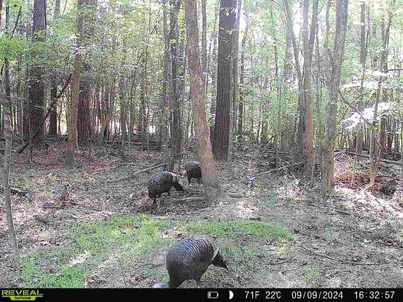 867490071175496-10-3-09092024163256-W1003276_8303337846153