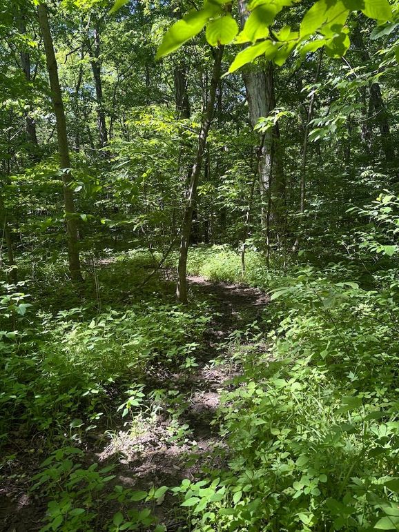 trail 3