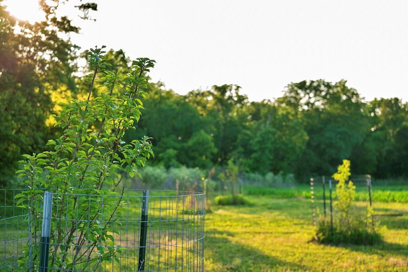 Harrison MO 480 Pro Photo_177 (14)