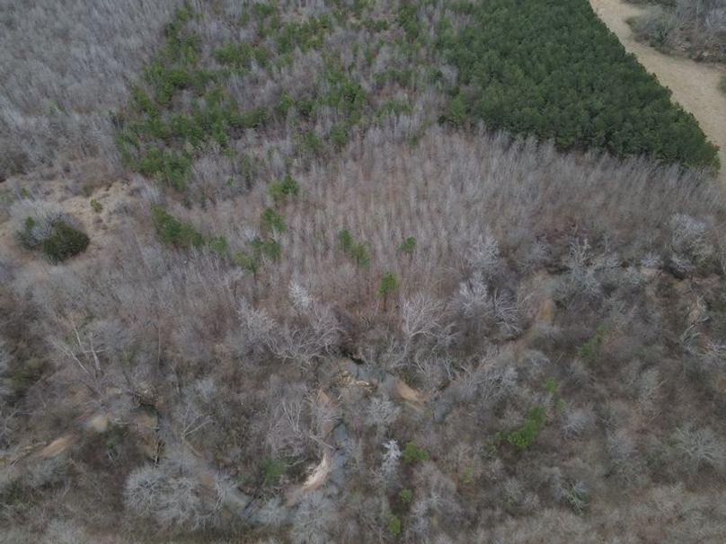 DJI_0038