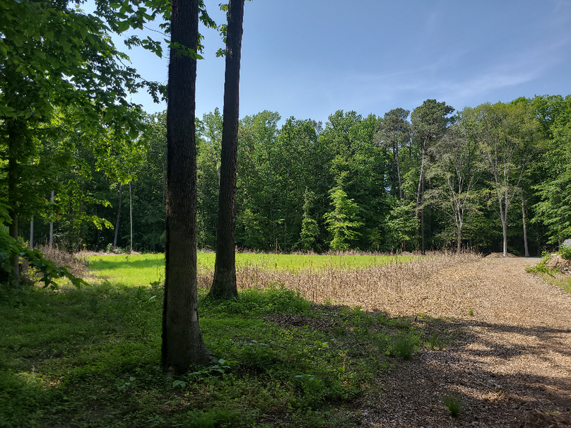 26.48ac_McKenneyLn_QAnnes_11