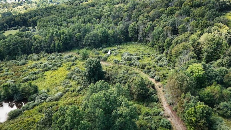 Tioga NY 232.62 Shores Photos 18