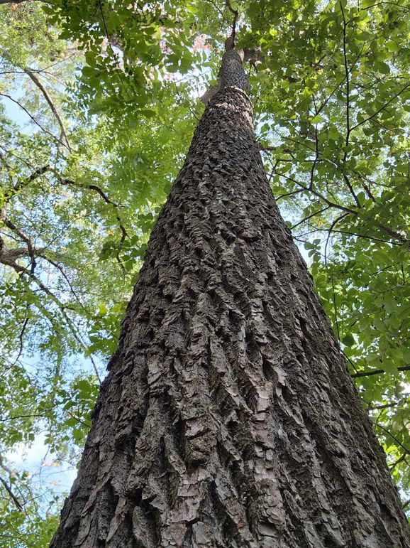 382331930_3170576159911622_5028675416724203102_n