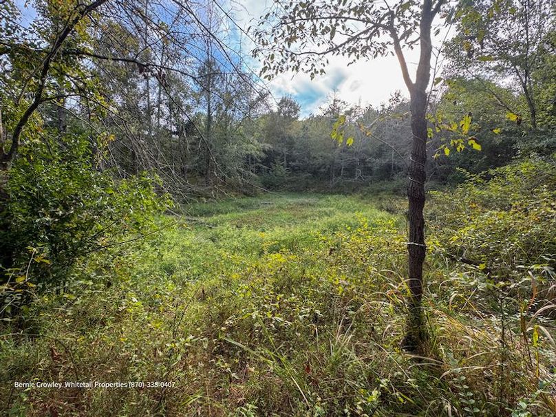 DeSoto 329 Prewett (Thompson) -27