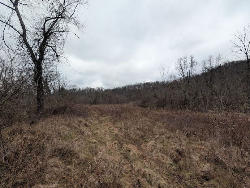 PXL_20260107_184918683