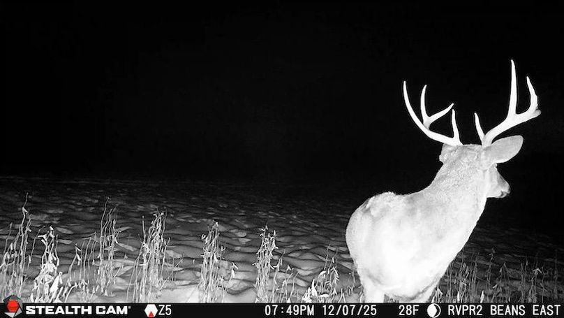 2025120719492101005048_ColorizationType.none