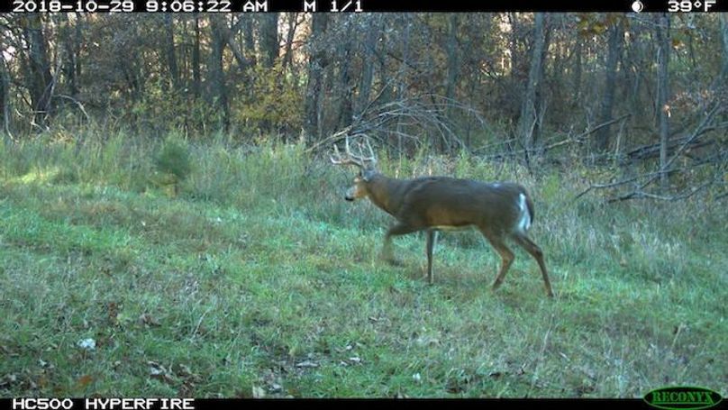 2018-10-29 09-06-22 M 1_1