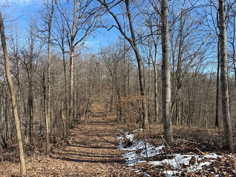 017 one of the trails leading along the ridge and National Forest boundary