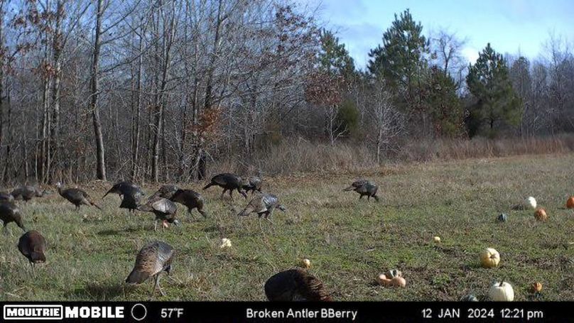 Benton 133.5 Trail Cam-09