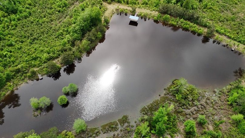 DJI_20260421004459_0245_D